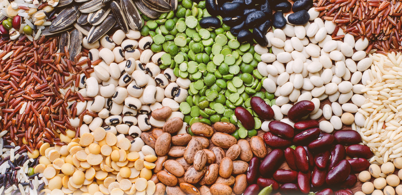Seeds